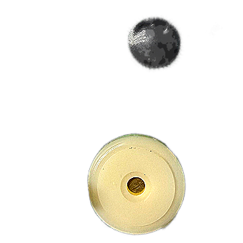 5 Pack 1 Amp Mini Glass Fuses Fast-Blow 5mm x 20mm Standard Size (PTT-1AFuse) 