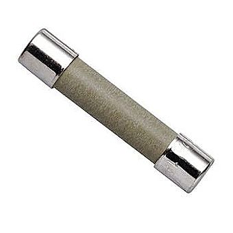 Time-Delay Ceramic 1-Amp 250-Volt Fuses Time-Delay Ceramic 1-Amp 250-Volt Fuses